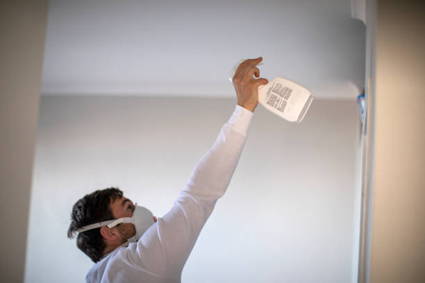 Best Attic Mold Removal  in Shady Side, MD