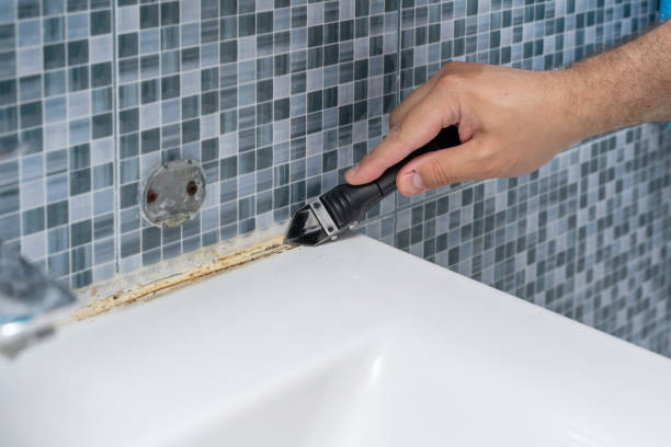 Best Certified Mold Removal  in Shady Side, MD